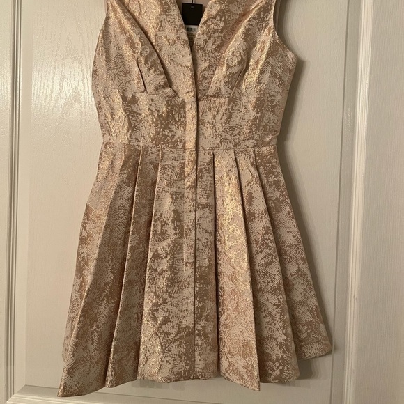 RACHEL ZOE• Gorgeous Daria Dress ✨✨✨ Fit & Flare Mini - Picture 6 of 7